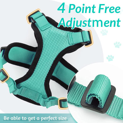 Collar ajustable para gatos
