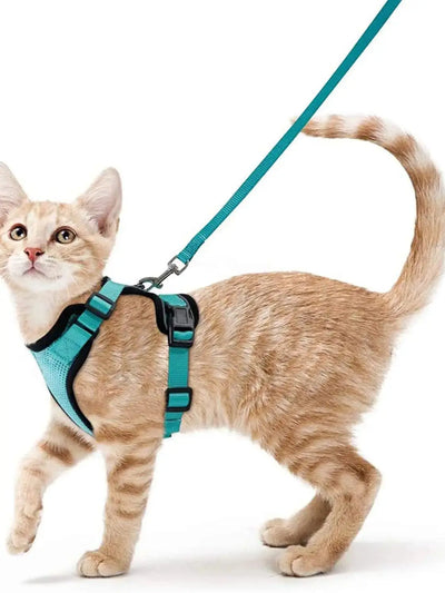 Collar ajustable para gatos