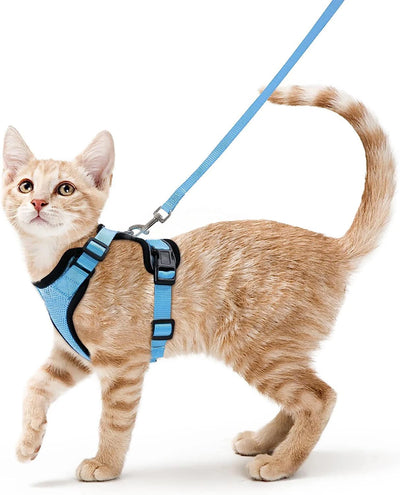 Collar ajustable para gatos