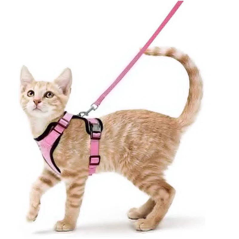 Collar ajustable para gatos