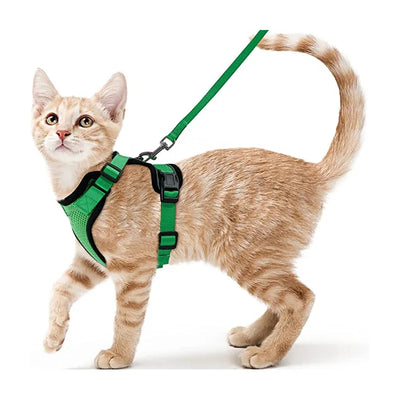 Collar ajustable para gatos
