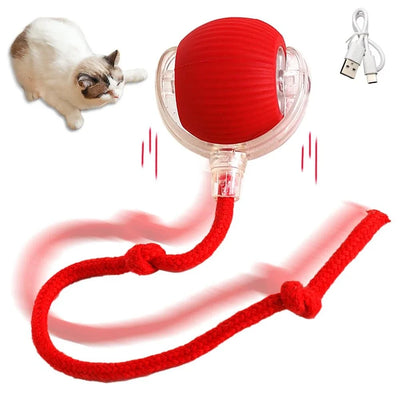 Pelota provocadora para mascotas