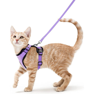 Collar ajustable para gatos