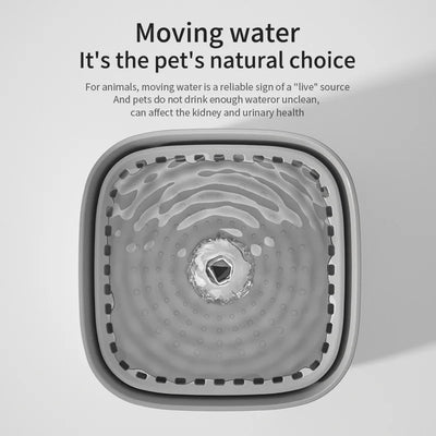 Fuente de agua para mascota y filtro de recirculación automático.