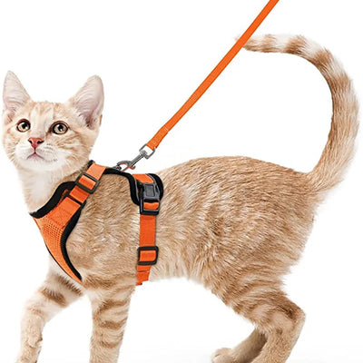 Collar ajustable para gatos