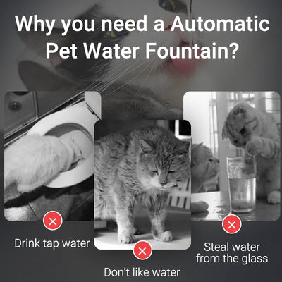 Fuente de agua para mascota y filtro de recirculación automático.
