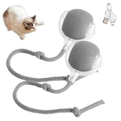 Pelota provocadora para mascotas