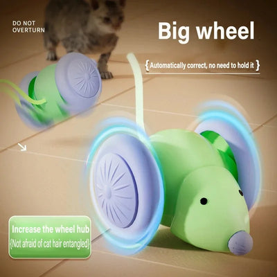 Wicked Mouse – Diversión Inteligente para tu Gato