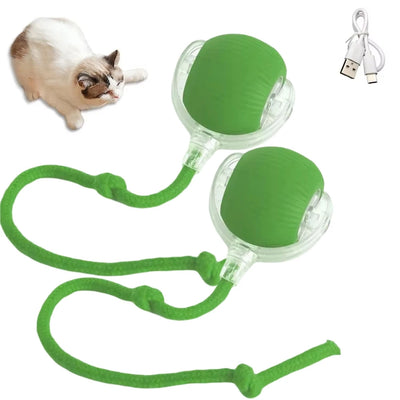 Pelota provocadora para mascotas