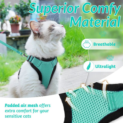Collar ajustable para gatos