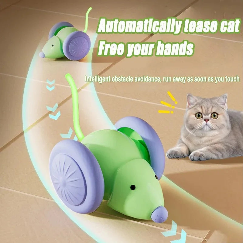 Wicked Mouse – Diversión Inteligente para tu Gato