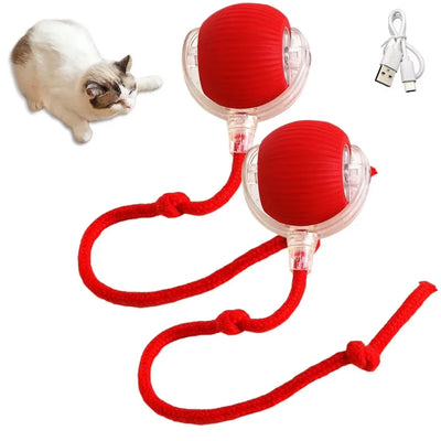 Pelota provocadora para mascotas