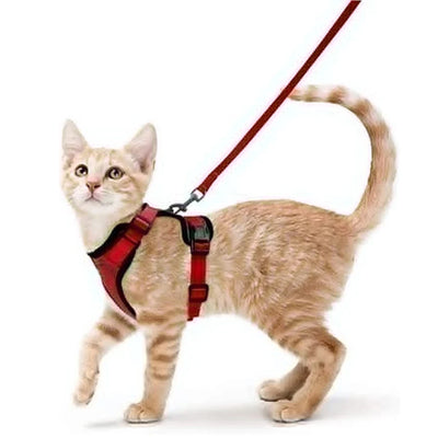 Collar ajustable para gatos