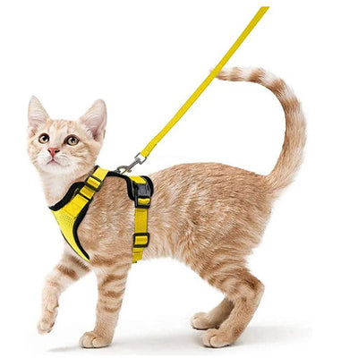 Collar ajustable para gatos
