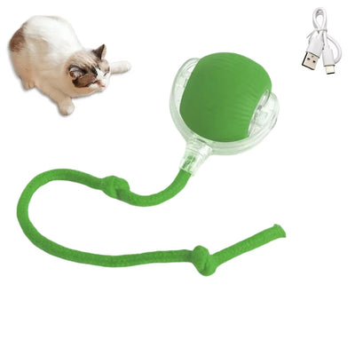 Pelota provocadora para mascotas